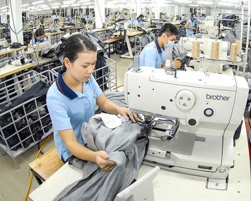 may móc nganh may mạc