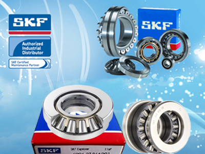 vòng bi SKF