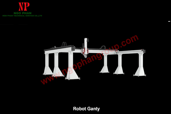 robot gantry 3